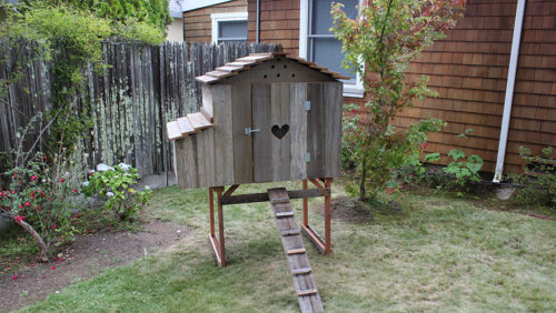 Bungalow Hen House Front Profile – Closed Door