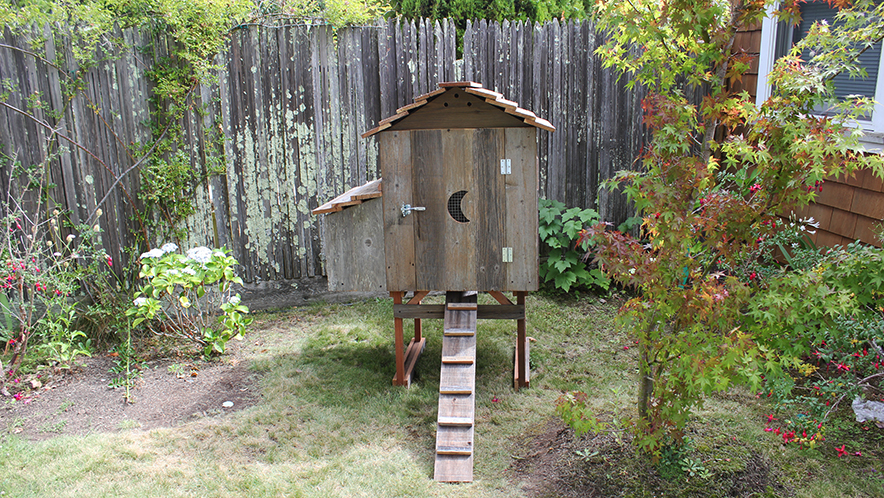 Cottage-style hen house front profile with rustic wood design, ideal for backyard chicken coops, small-scale farming, and homestead poultry setups.