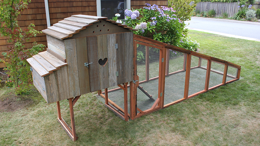 Charming elevated chicken coop with heart-shaped ventilation cutout and extended wire run—ideal for backyard poultry, predator-safe design, and small-scale homesteading from UrbanGardenWorkshop.com