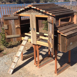 Elevated rustic chicken coop with dual nesting boxes, front-access doors, and secure ladder ramp—perfect for efficient backyard poultry keeping and showcased by UrbanGardenWorkshop.com