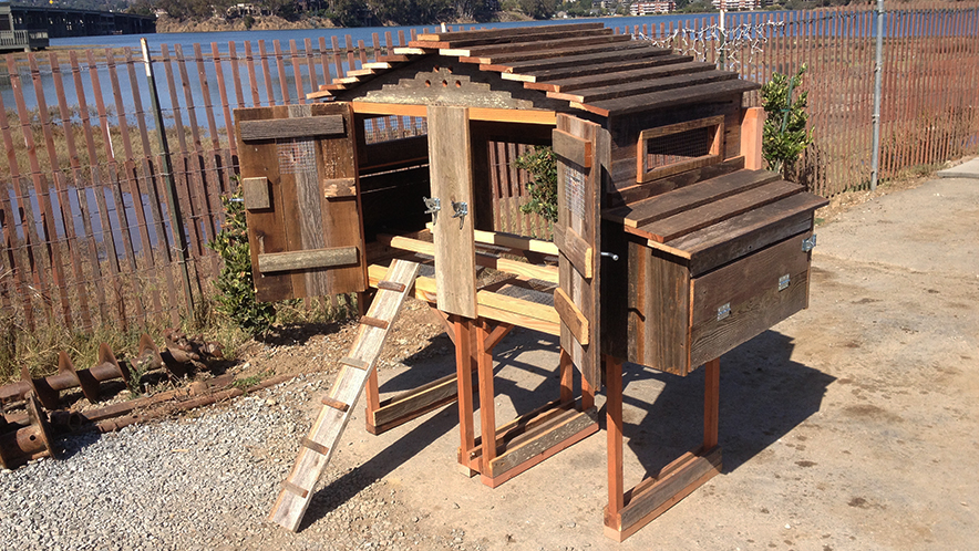 Elevated rustic chicken coop with dual nesting boxes, front-access doors, and secure ladder ramp—perfect for efficient backyard poultry keeping and showcased by UrbanGardenWorkshop.com