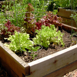 Raised Bed Garden Kits