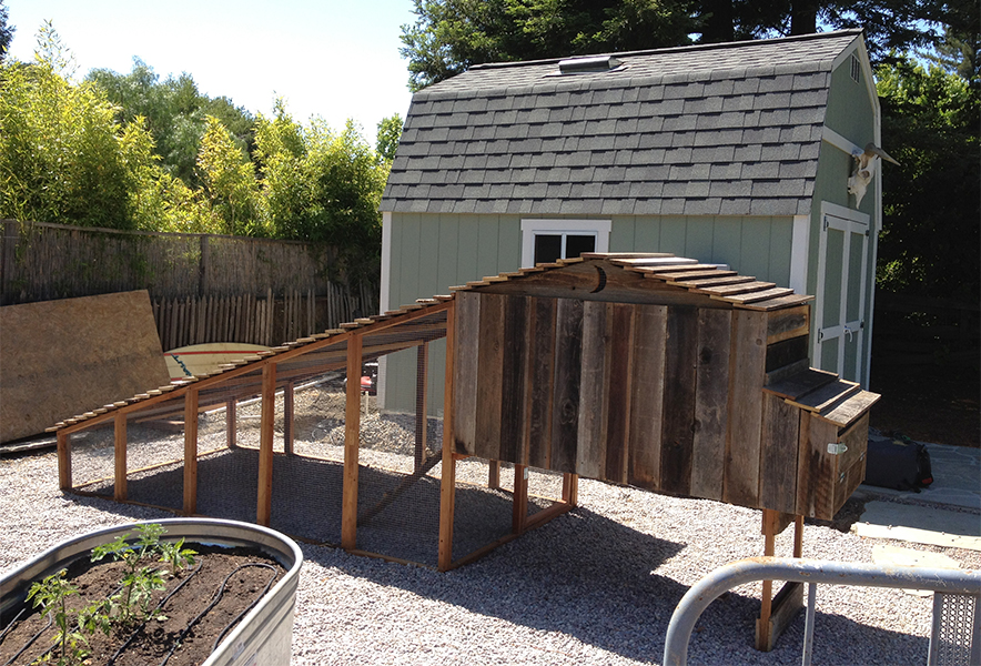 Spacious urban chicken coop with rustic reclaimed wood, extended run, and predator-proof design—ideal for backyard poultry keepers seeking sustainable solutions from UrbanGardenWorkshop