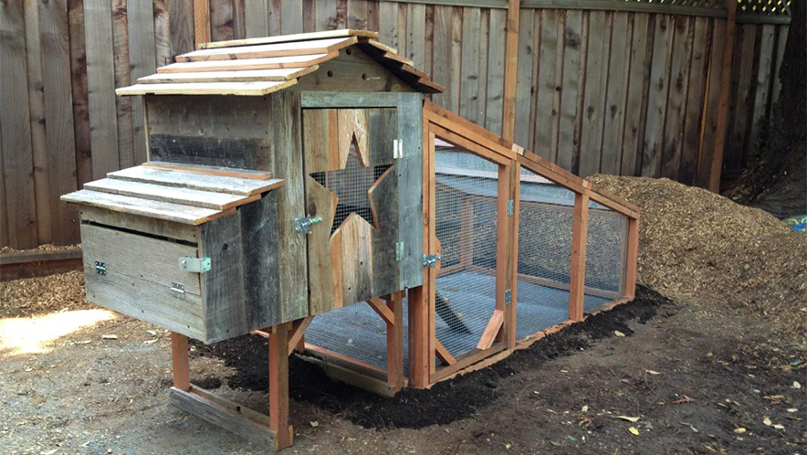 Western-themed backyard chicken coop with rustic wood siding, star cutout, and integrated run—perfect for DIY poultry housing, small flock management, and farmhouse-style homesteading.