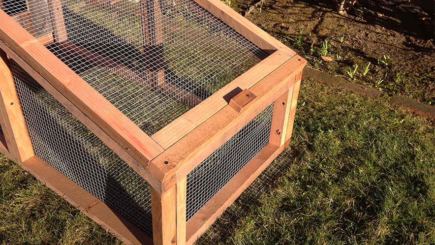 Close-up of secure chicken run corner with hardware cloth and cedar frame—designed for predator protection and ventilation in urban backyard coops by UrbanGardenWorkshop