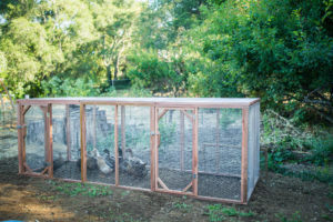 DIY, American Made, Heritage, Chicken Run, Rustic, Sustainability, permaculture, heirloom, gardening, reclaimed wood, homegrown, backyard, durable, eco friendly, urban garden, backyard chickens,